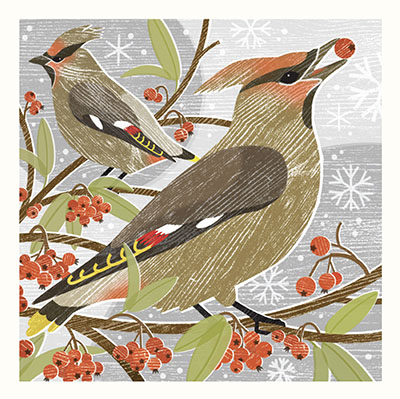 'Waxwings' by Liam Payne (6 card pack) (xcdp4) g1 Christmas Was 6.50, now 3.95