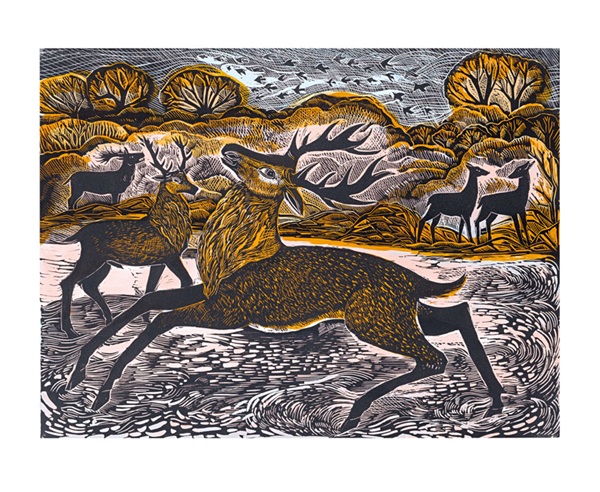 'Red Knepp Deer' by Angela Harding (A095) NEW 