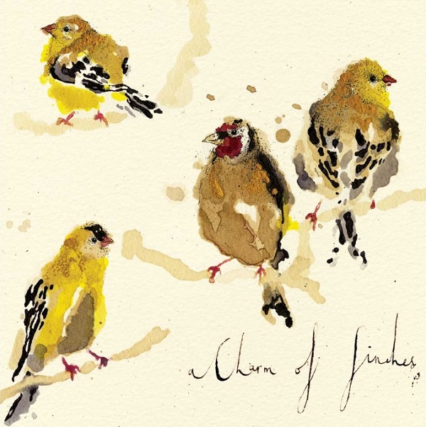 'A Charm of Finches' by Anna Wright (K019) d Was 3.15, now 1.85