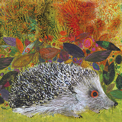 'There's a hedgehog in my garden' by Brian Wildsmith (C566) *