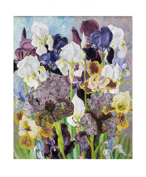 'May Flowering Irises' 1935 by Cedric Morris (1889 - 1982) (A970)