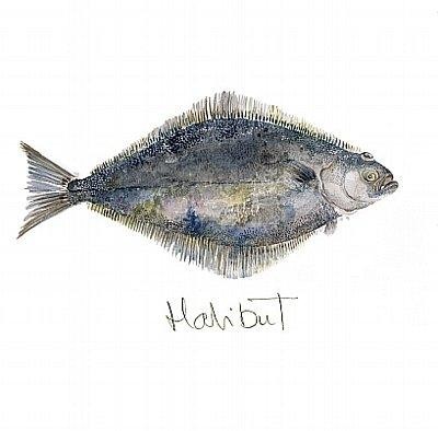 'Halibut' by Angie Horder (L025) d Was 2.95, now 1.75