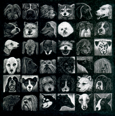 'The Dog Show' by Hilary Paynter (B529) d Was 2.85, now 1.60