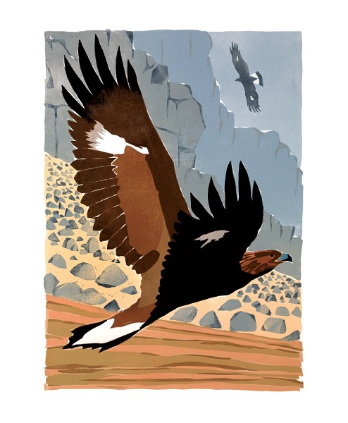 'Golden Eagle' by Lisa Hooper (A899) * 
