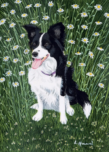 'Daisy in the Daisies' by Lucy Howard (B480)