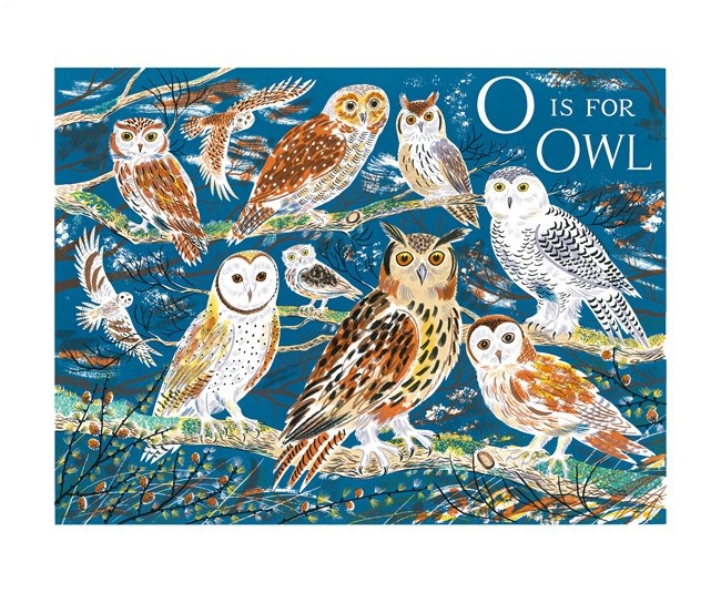 'O is for Owl' by Emily Sutton (A178) 