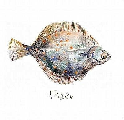 'Plaice' by Angie Horder (L022) d Was 2.95, now 1.75