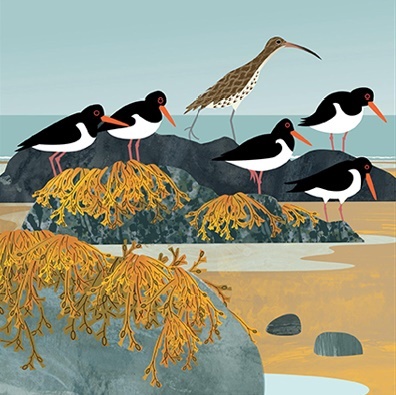 'Curlew and Oystercatchers' by Rachel Hudson (T080) NEW