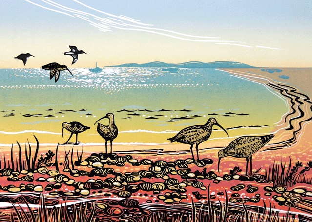 'Curlews on the Coast' by Rob Barnes (R302) 