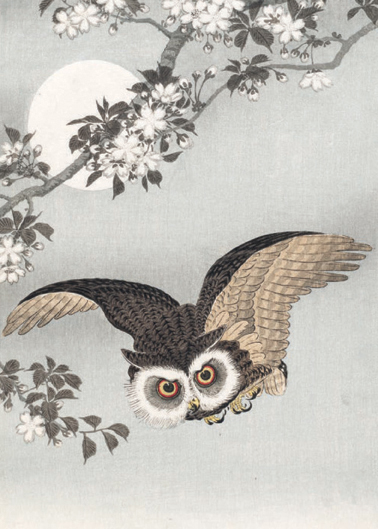 'Scops Owl, Cherry Blossoms, and Moon' c1926 by Ohara Koson (B503) *