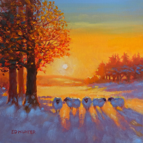 'Warm Winter Sun' by Ed Hunter (6 pack) (xsa30) 