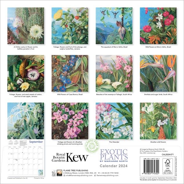 Kew Gardens - Exotic Plants Wall Calendar 2024 by Marianne North (CAL21) Click image for calendar details Was 11.00, now 4.40