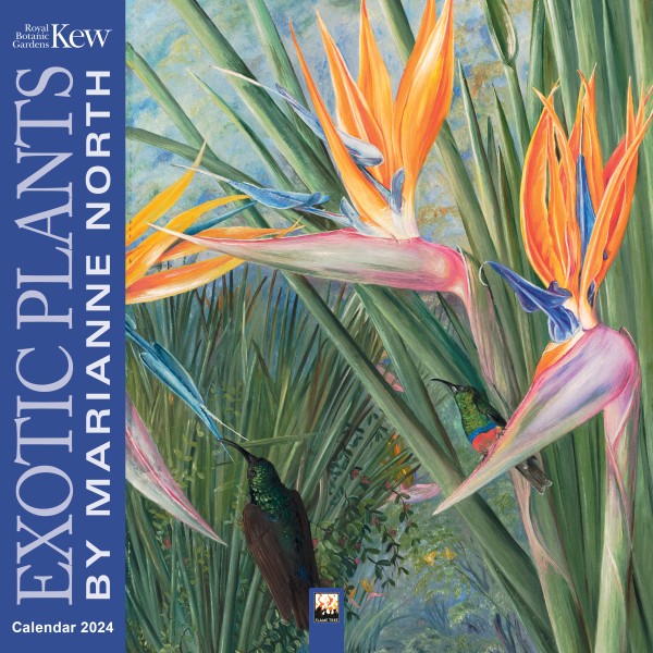 Kew Gardens - Exotic Plants Wall Calendar 2024 by Marianne North (CAL21) Click image for calendar details Was 11.00, now 4.40