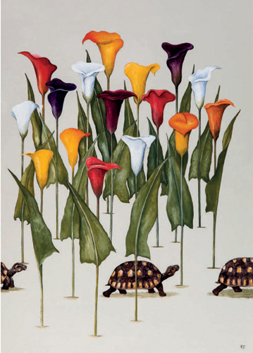 'A Creep of Tortoises' by Rebecca Campbell (B471) d Was 2.85, now 1.60
