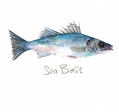'Sea Bass' by Angie Horder (L120) d Was 2.95, now 1.75