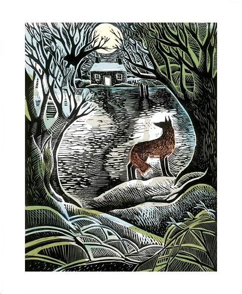 'Midnight Fox' by Angela Harding (A043w) NEW 