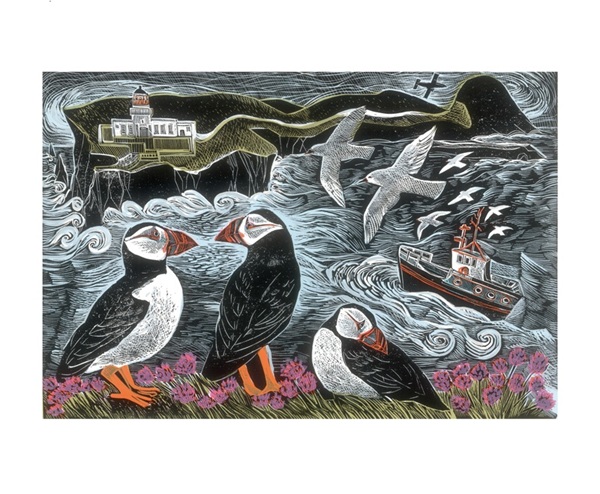 'Fair Isle Puffins at the North Lighthouse' by Angela Harding (A144) NEW 