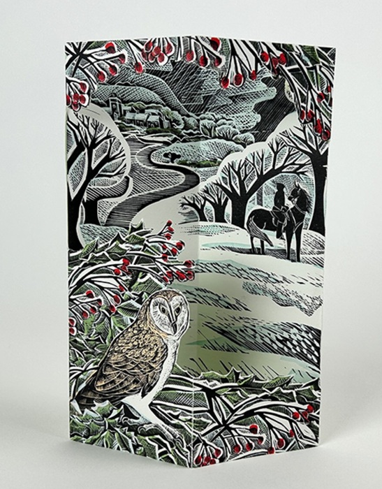 'Owl Flight' fold out die-cut card by Angela Harding (AP066)