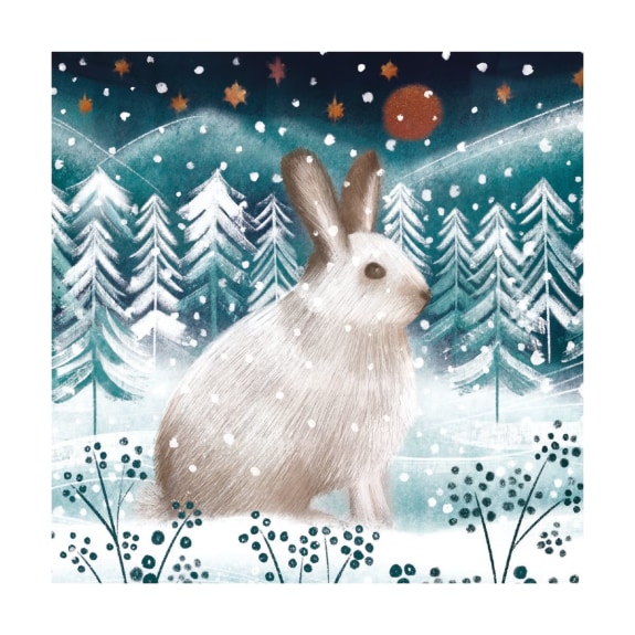 'Arctic Hare' by Catherine Worsley (8 pack) (VX) (message inside)  NEW 