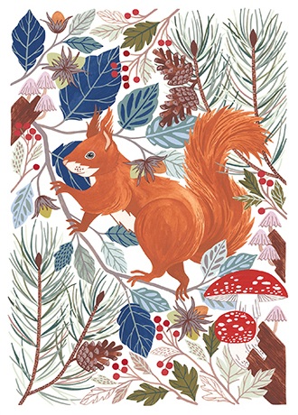 'Red Squirrel' by Claire Tuxworth (T104) NEW