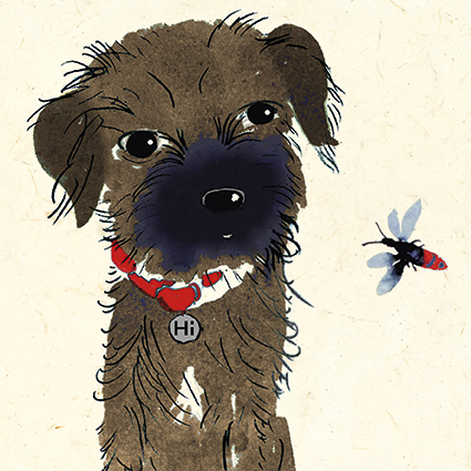 'Peek the Puppy' by Jenny Frean (C033) NEW