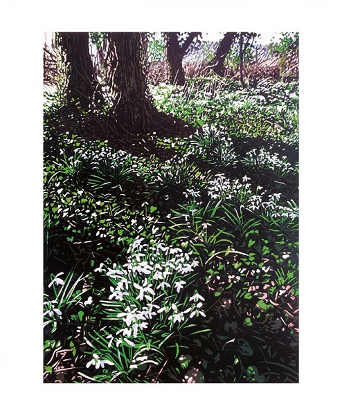 'Snowdrops and Ivy' by Joshua Miles (A027w) NEW