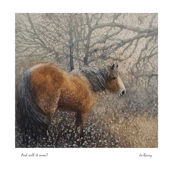 And will it snow? by Jo Barry (J035) NEW