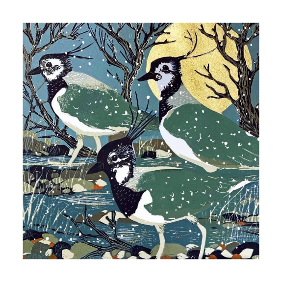 'Lapwings' by Sue Welfare (8 pack) (VX) (message inside)  NEW 