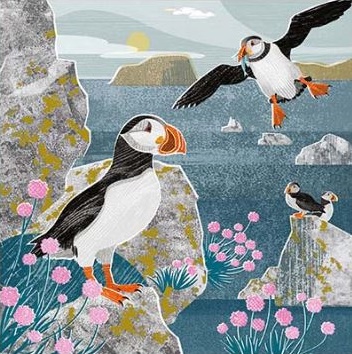 'Puffins' by Liane Payne (T141) NEW