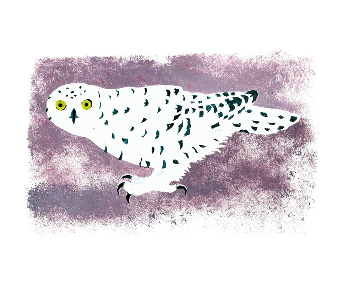 'Arctic Visitor' by Mick Manning (A212w) 