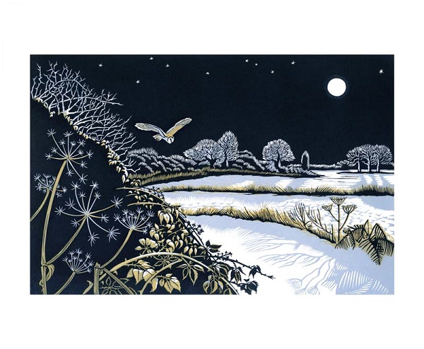 'Night Flight' by Niki Bowers (A055w) 