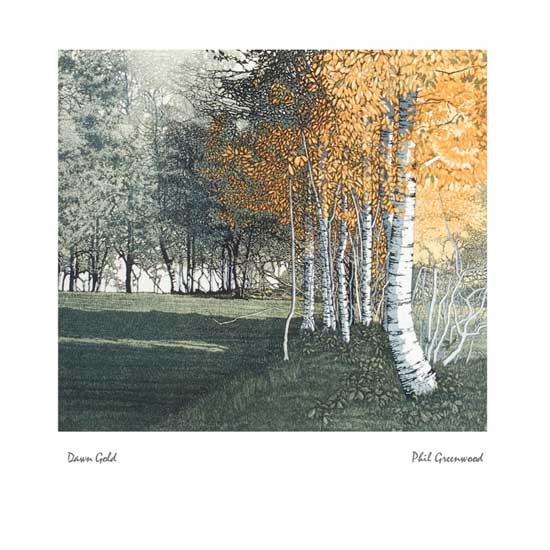 Dawn Gold by Phil Greenwood (J014) NEW Back In Stock 15th October