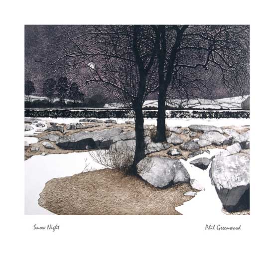 Snow Night by Phil Greenwood (J012) NEW