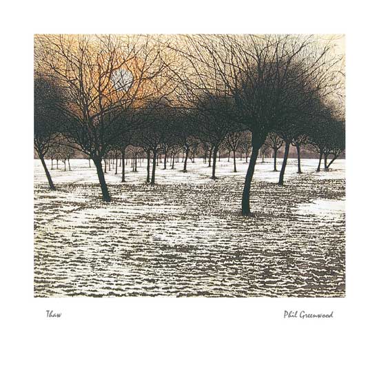 Thaw by Phil Greenwood (J035) NEW