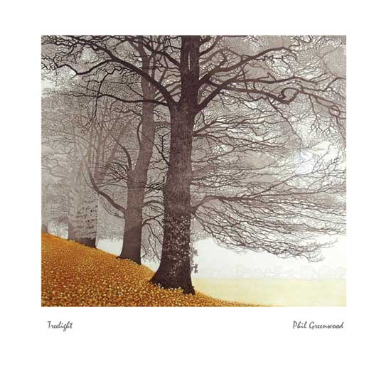 Treelight by Phil Greenwood (J013) NEW