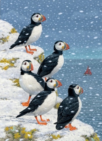 'Puffins in the Snow' by Sarah Adams (8 pack) (VX10) g2 175mm x 125mm (message inside) NEW 