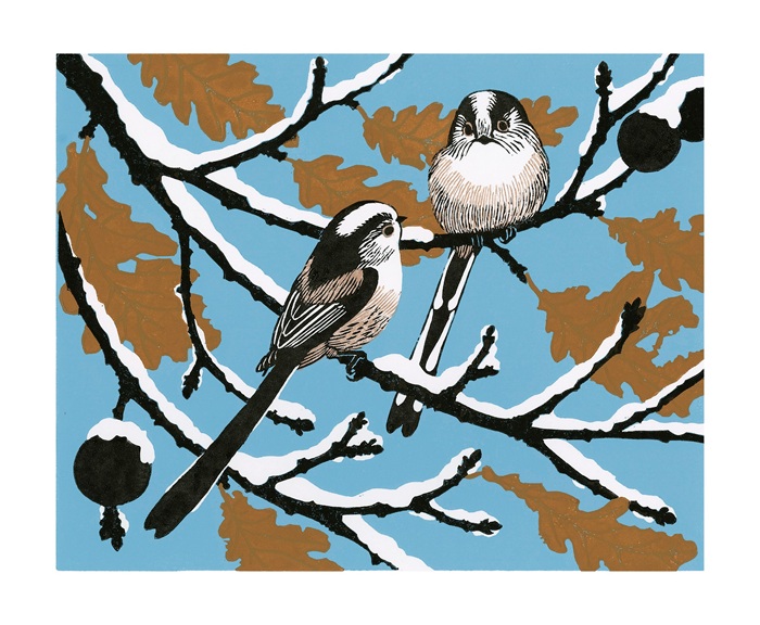 'Winter Longtail' by Robert Gillmor (A196w) 