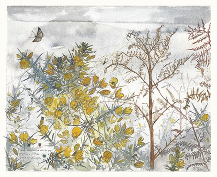 'Gorse, Bracken and Spiders' by Rachel Porter (T116) 