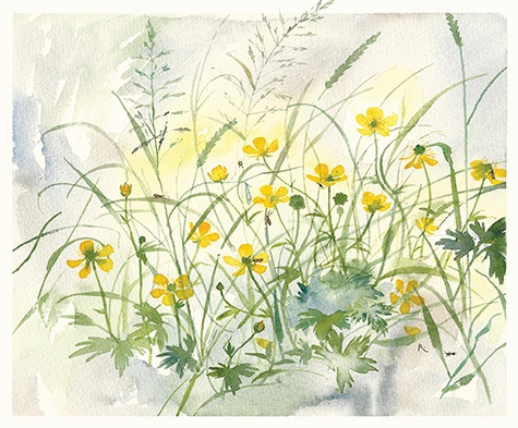 'June Buttercups and Micro Moths' by Rachel Porter (T110) 