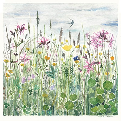 'Swallow over Enlli Wetlands' by Rachel Porter (T109) 