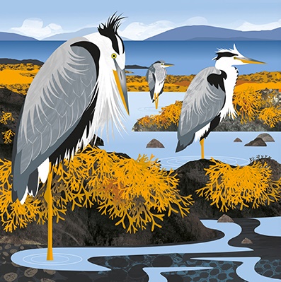 'Herons in the Hebrides' by Rachel Hudson (T099) NEW