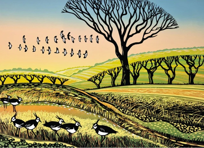 'Lapwings Arriving' by Rob Barnes (R378)