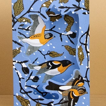 Winter Printmakers Die-cut and Pop-Out Cards (All Blank)