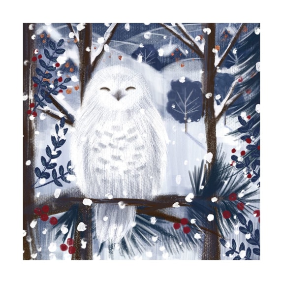 'Snowy Owl' by Catherine Worsley (8 pack) (VX01) (message inside)  