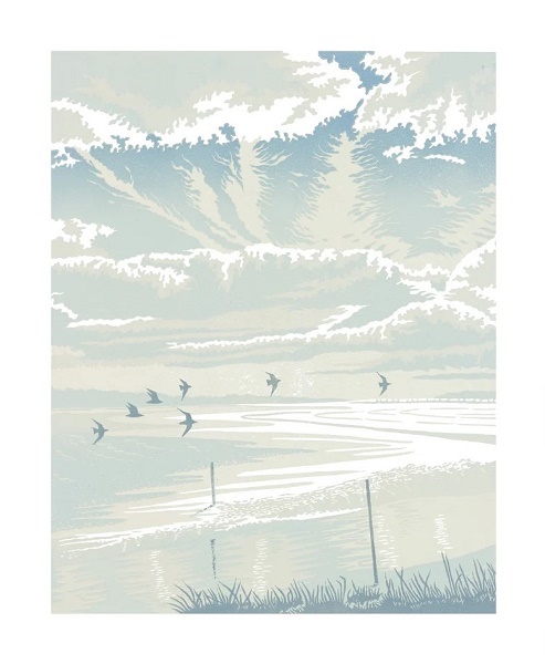 Cold Light by Steve Manning (A249w) NEW 