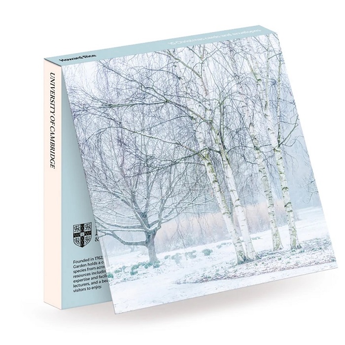 Howard Rice 'Silver Birch Trees in Winter' UCAM (CX23) g2 (10 card wallet) NEW 