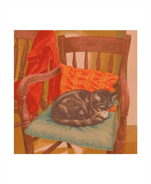 Helen Sleeping on Millie's Chair by Vanessa Lubach (A128) NEW