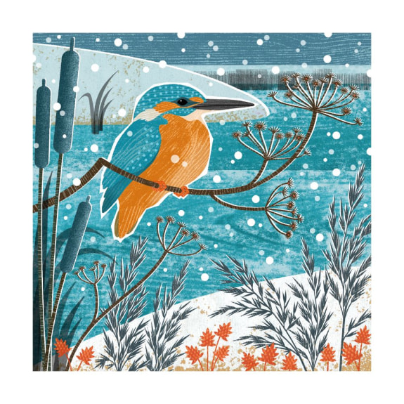 'Winter Kingfisher' by Liane Payne (8 pack) (VX03) (message inside)  