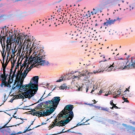 'Winter Murmurations' by Lucy Grossmith (5 pack)  (VX19) g2 (larger square format) 160mm x 160mm (message inside)   