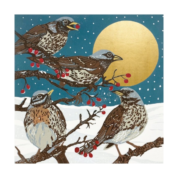 'Winter Visitors' by Sue Welfare (8 pack) (VX) (message inside)  NEW 